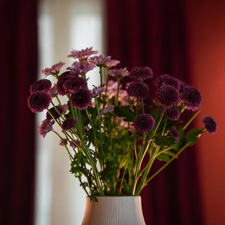 Sant'eufemia 30 Bed & Breakfast Modena