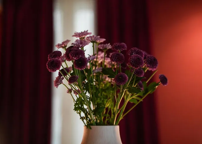 Sant'eufemia 30 Couette-café Modène